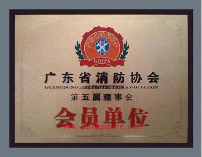 广东消防协会